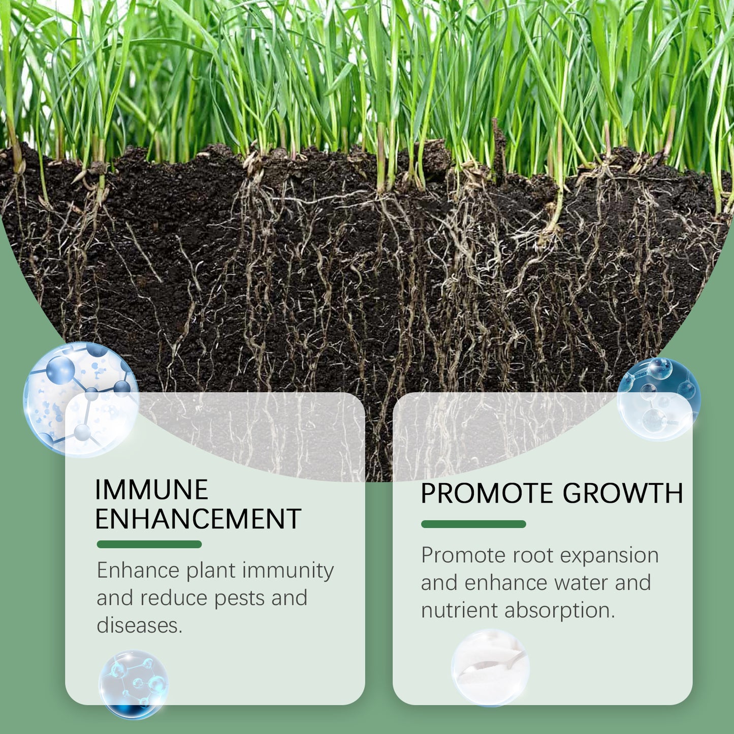 MoonSpry Plant Root Powder, A Nutrient Supplement To Improve The Rooting and Seedlings Strength of Soil Green Plants And Flowers