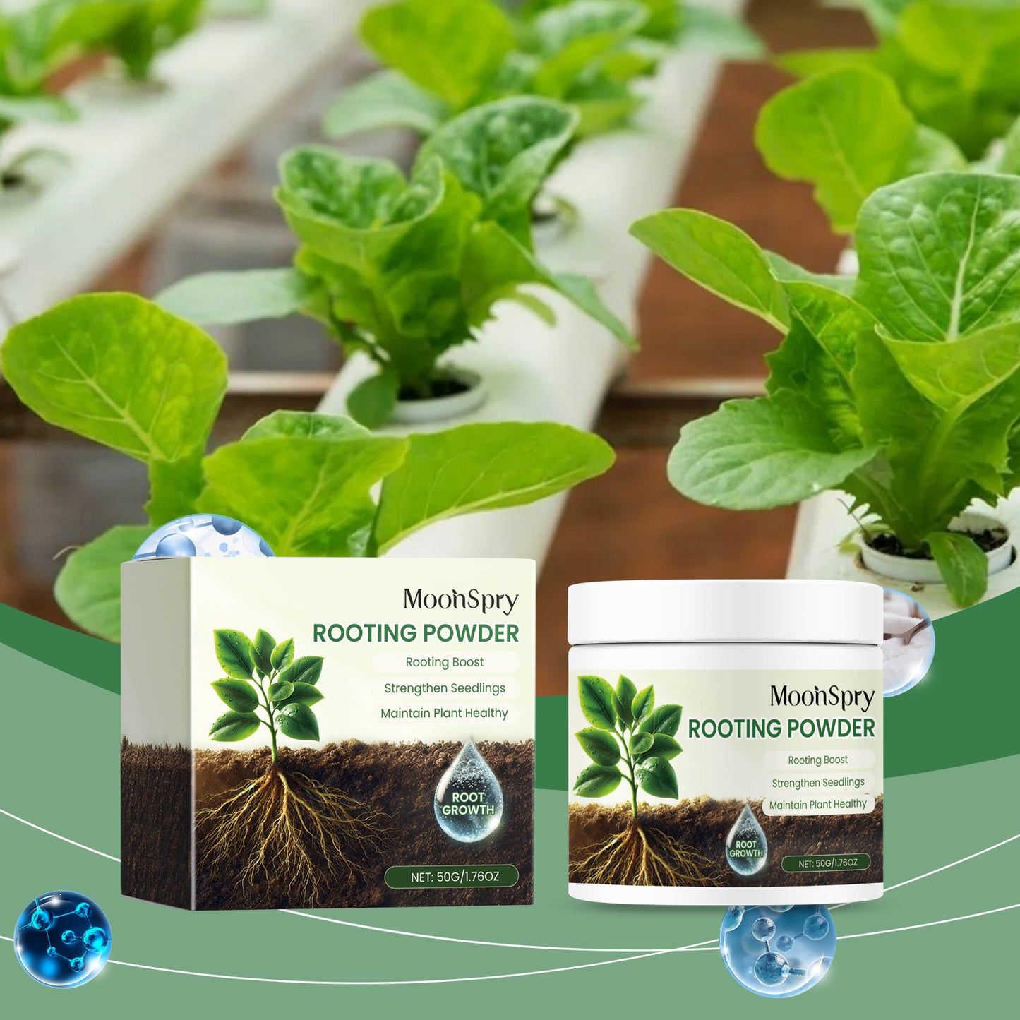 MoonSpry Plant Root Powder, A Nutrient Supplement To Improve The Rooting and Seedlings Strength of Soil Green Plants And Flowers