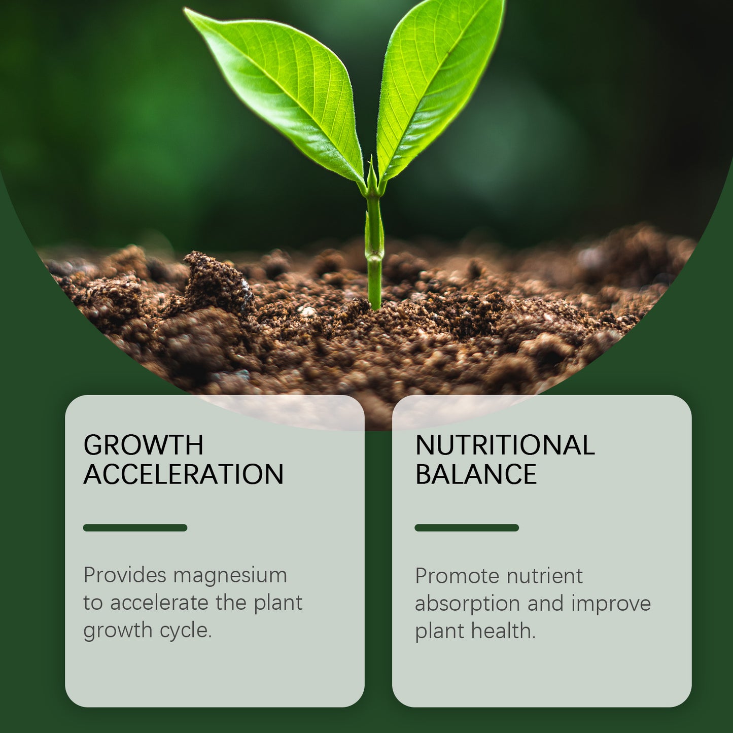 MoonSpry Plant Growth Nutrient Suopplement powder for soil conditioning, plant growth , flowers, and fruits