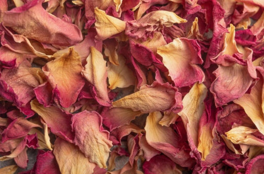 Java Plum Floral Herbal Tea