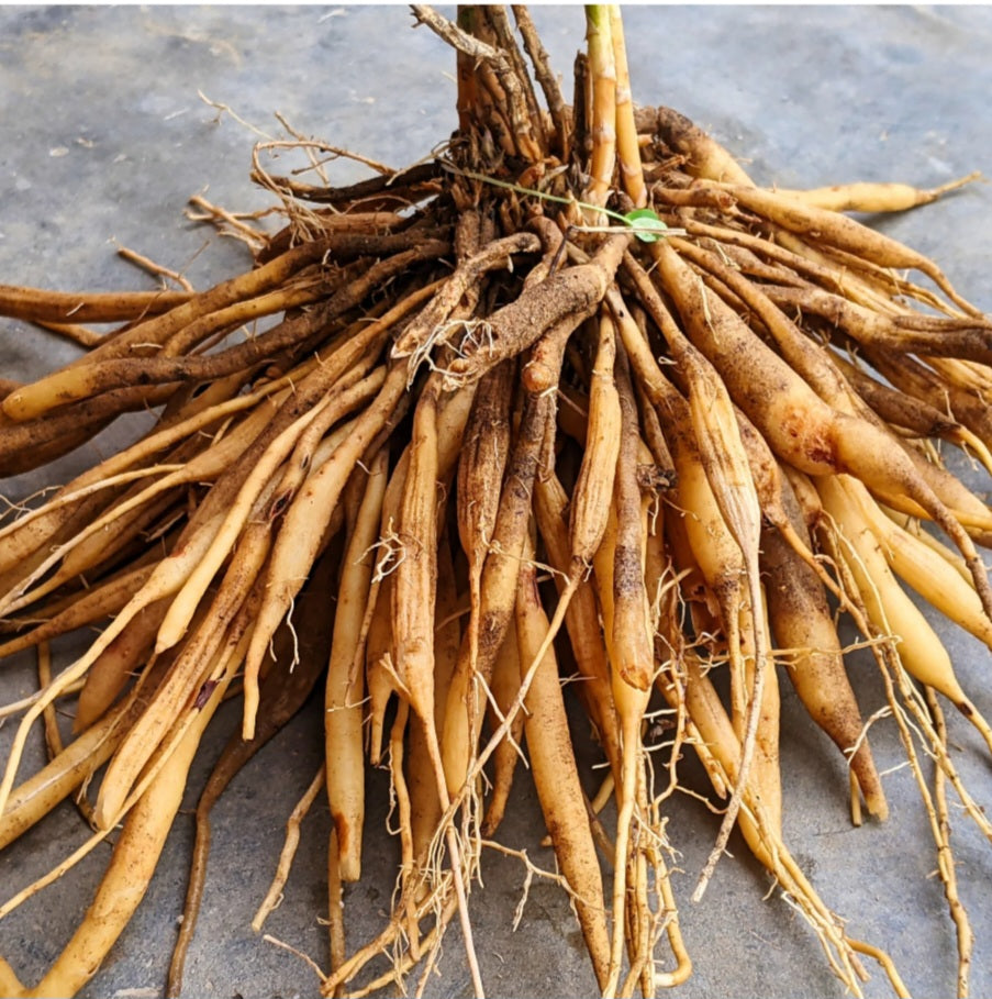 Women’s Hormonal Balance Herbal Tea